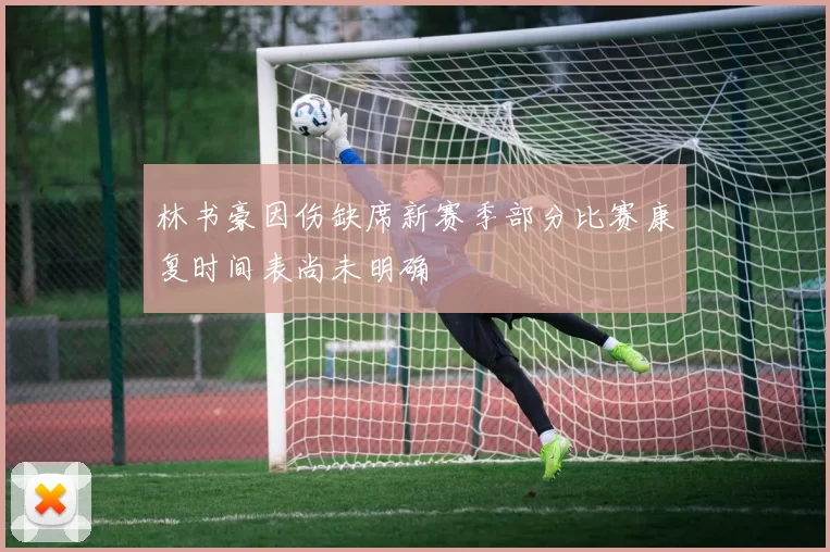 林书豪因伤缺席新赛季部分比赛康复时间表尚未明确