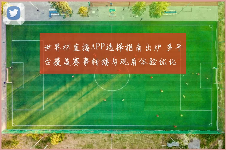世界杯直播APP选择指南出炉 多平台覆盖赛事转播与观看体验优化