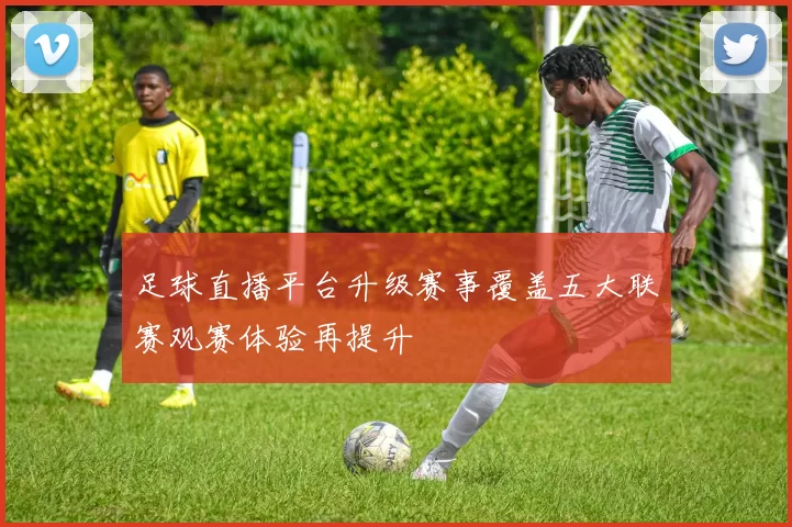 足球直播平台升级赛事覆盖五大联赛观赛体验再提升