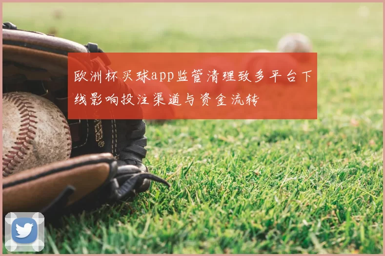 欧洲杯买球app监管清理致多平台下线影响投注渠道与资金流转