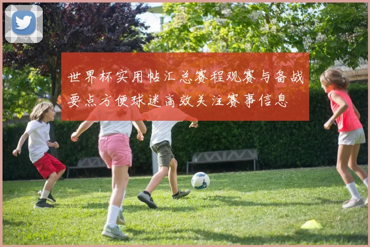 世界杯实用帖汇总赛程观赛与备战要点方便球迷高效关注赛事信息