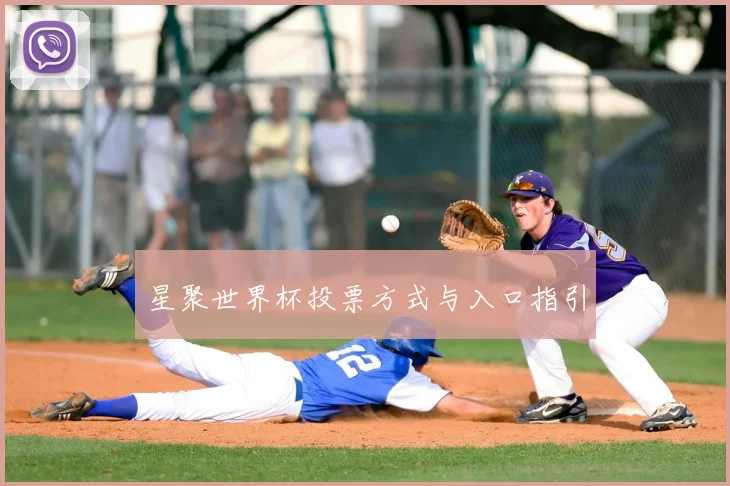 星聚世界杯投票方式与入口指引
